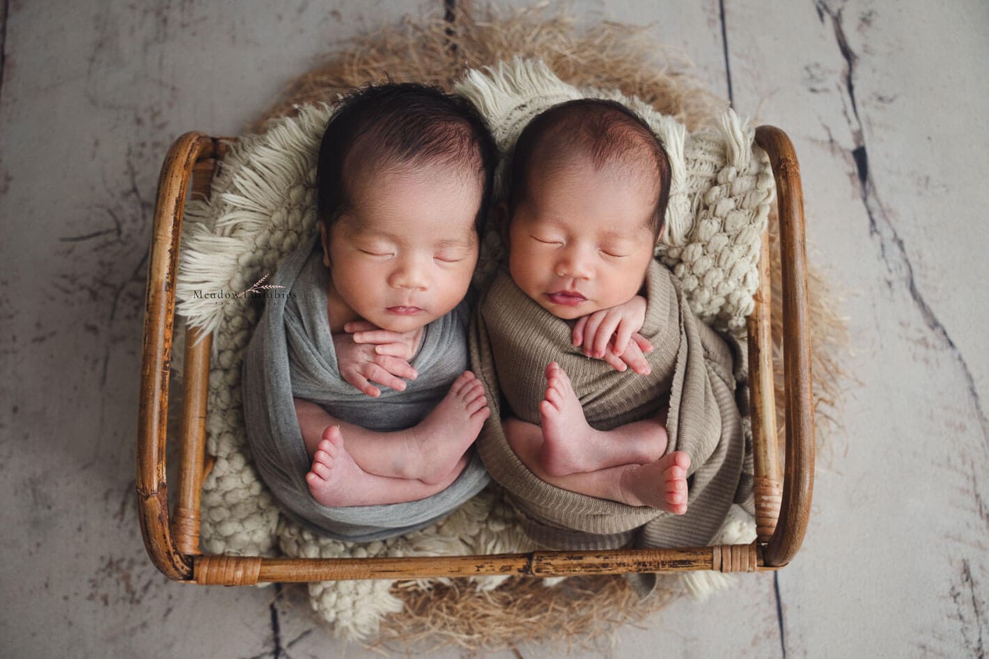 Cute twin baby boys sleeping in rustic wooden bed prop
